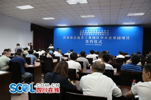 自貢市自流井舉行中小企業(yè)園項目合作協(xié)議簽約儀式